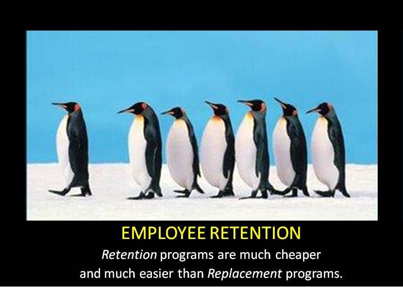 employee retention tips hiringplug hr blog